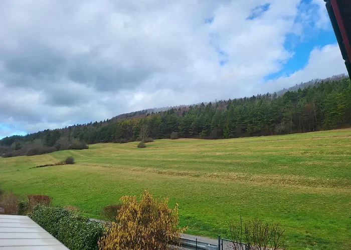 Zartgruen * Blumberg